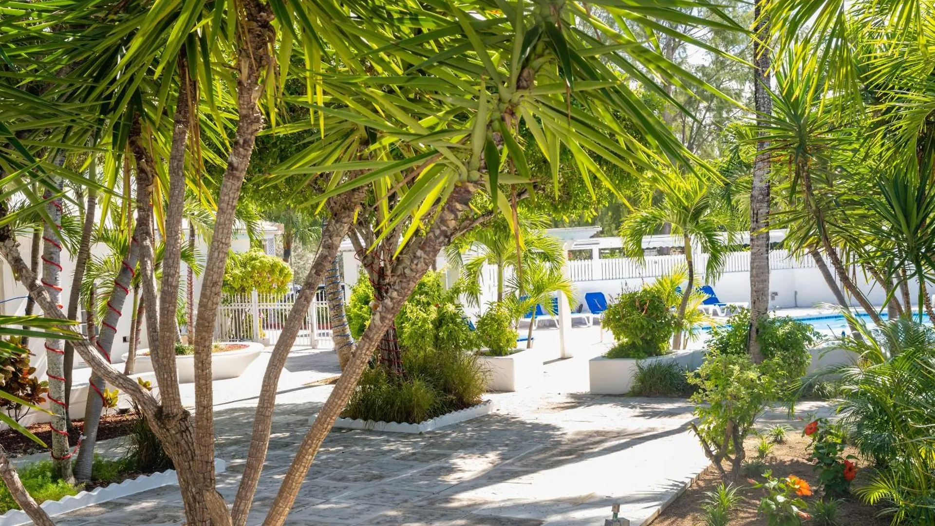 Deluxe Sea View Villas At Paradise Island Beach Club Resort Creek Village 0*,  Bahamas